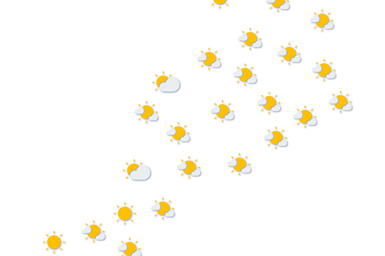 Forecast