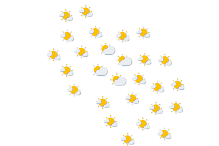Forecast
