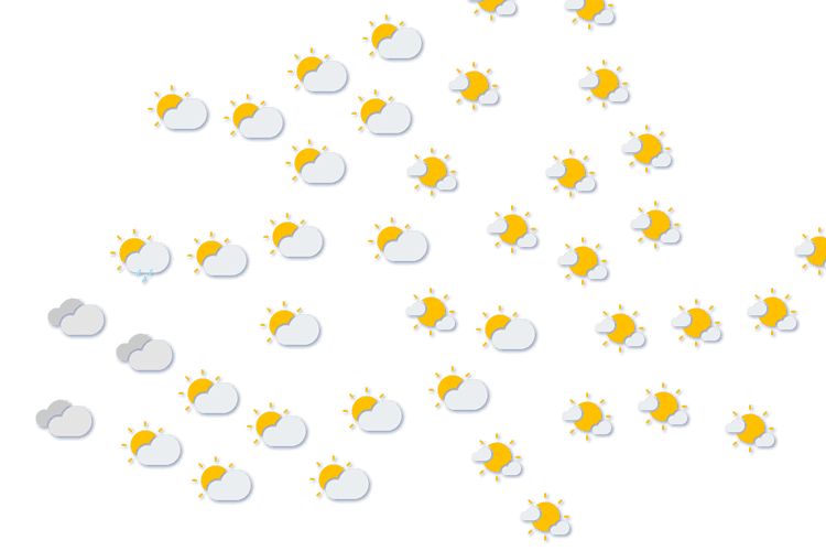 Forecast