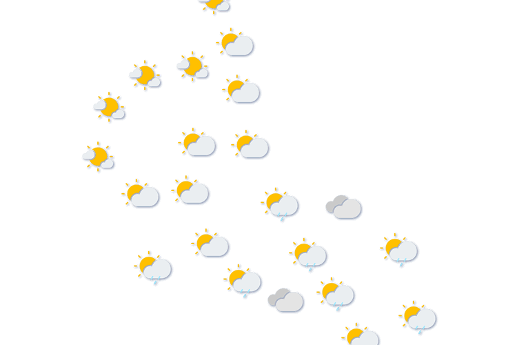 Forecast