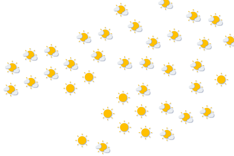 Forecast