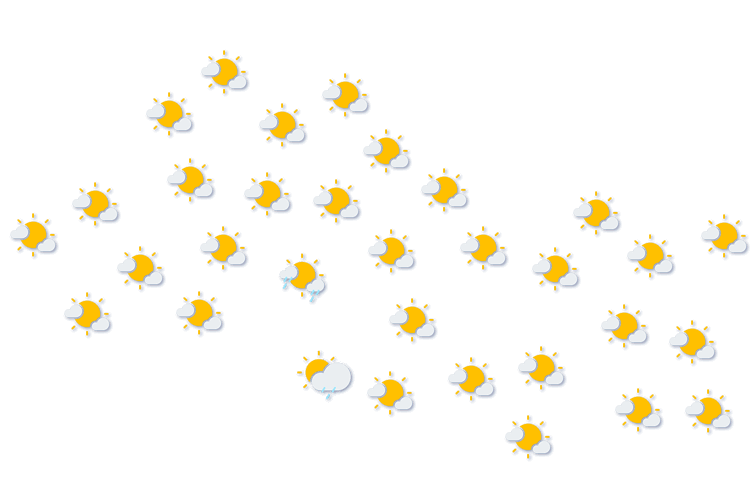 Forecast