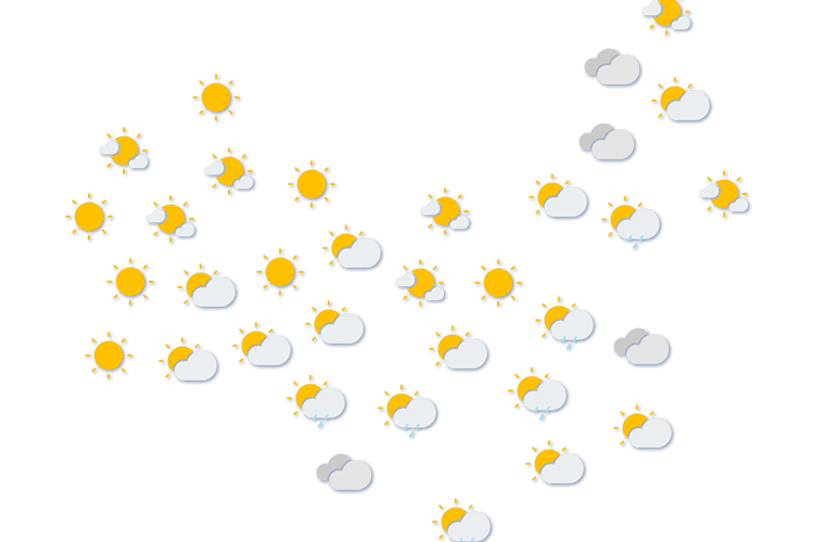 Forecast