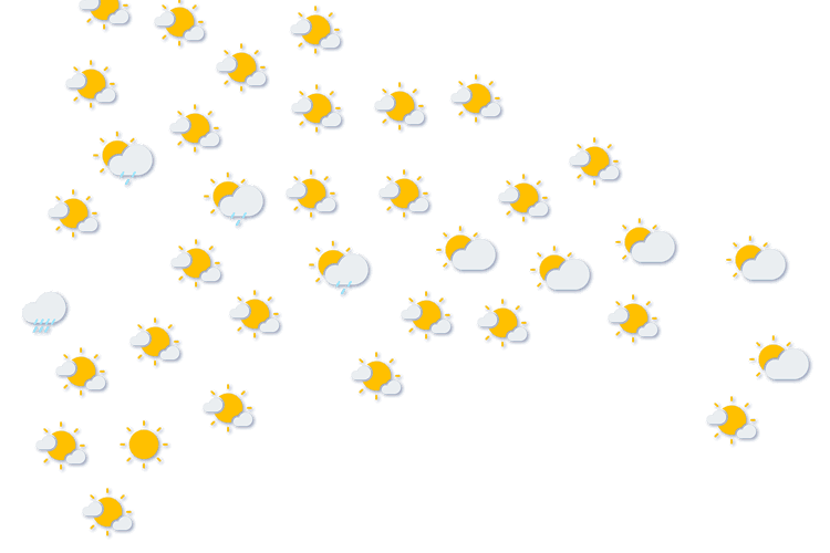 Forecast