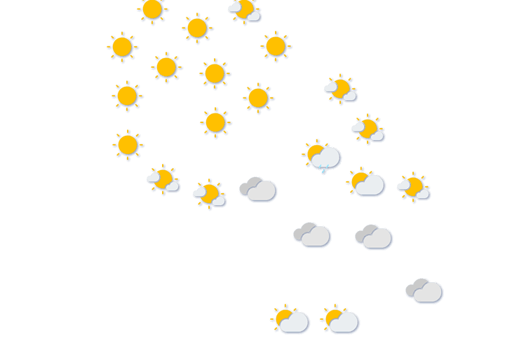 Forecast