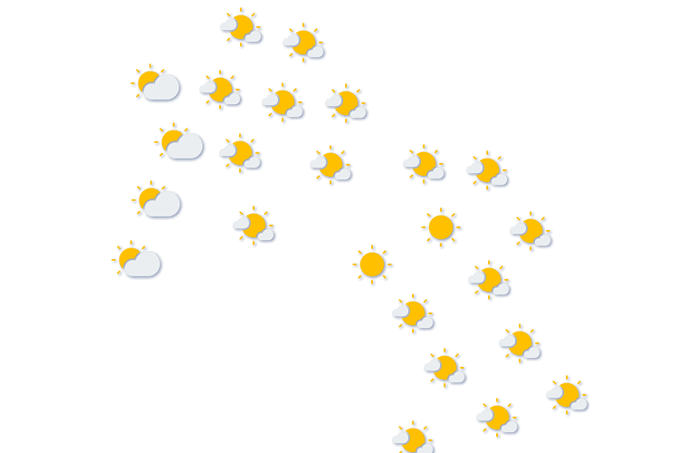 Forecast