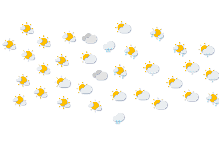 Forecast