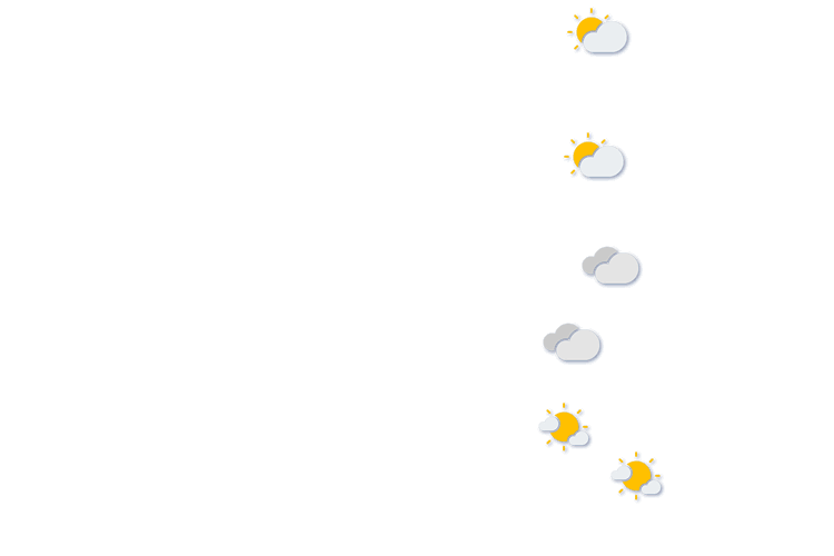 Forecast