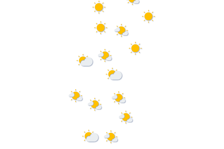 Forecast