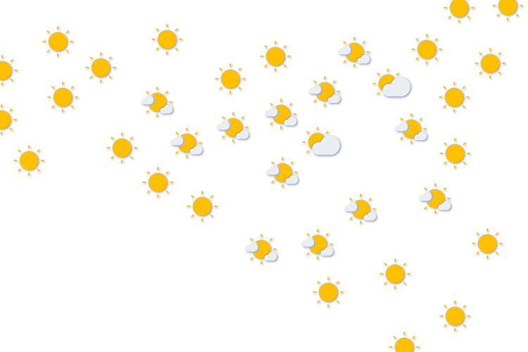 Forecast