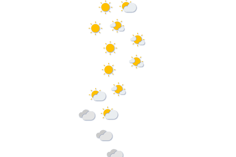 Forecast