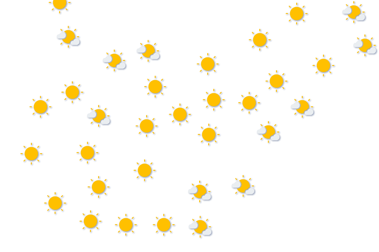 Forecast
