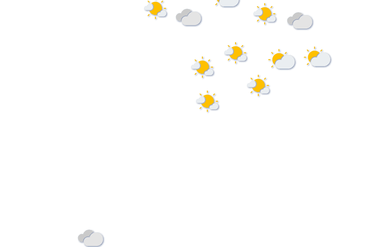 Forecast