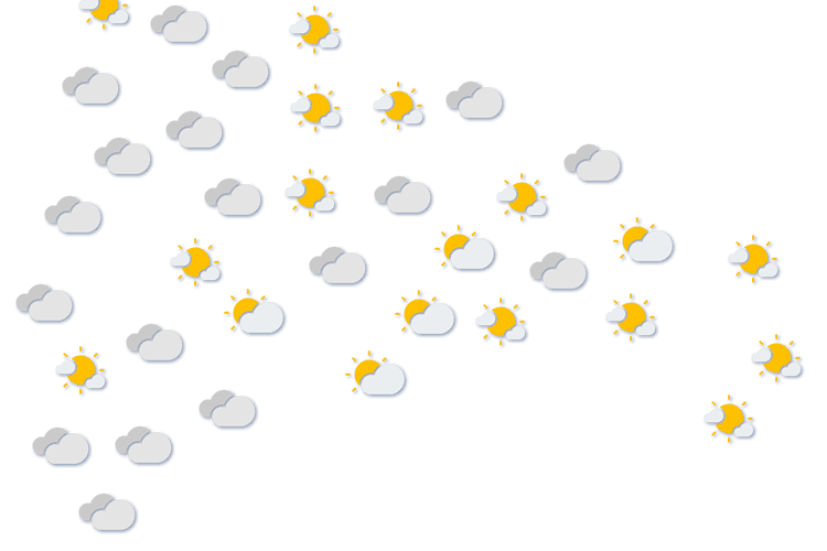 Forecast