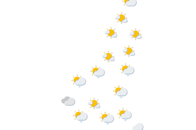 Forecast