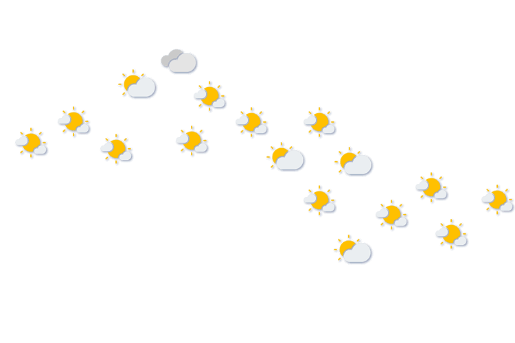 Forecast