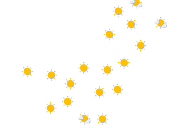 Forecast
