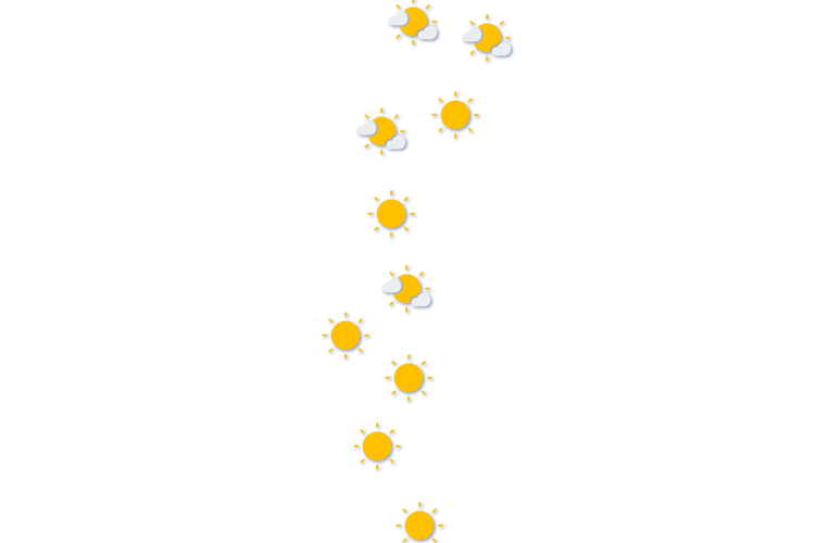 Forecast