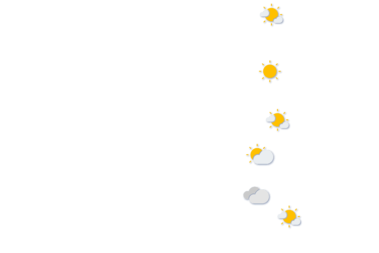 Forecast