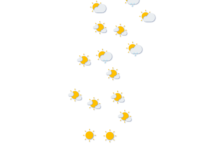 Forecast