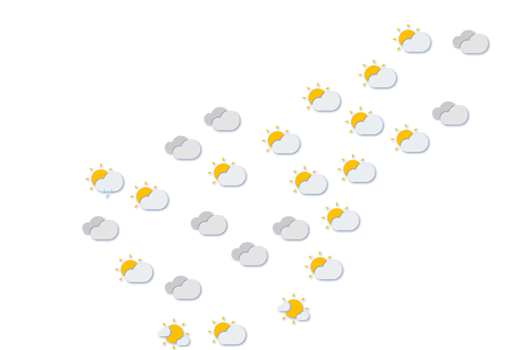 Forecast