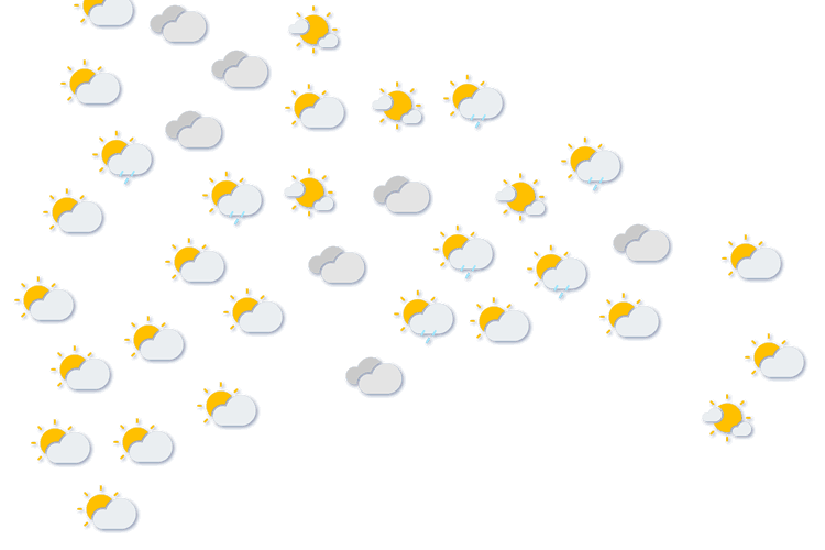 Forecast
