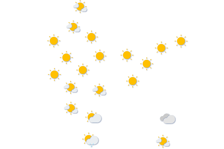 Forecast