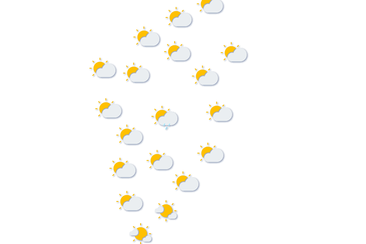 Forecast