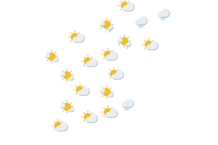 Forecast