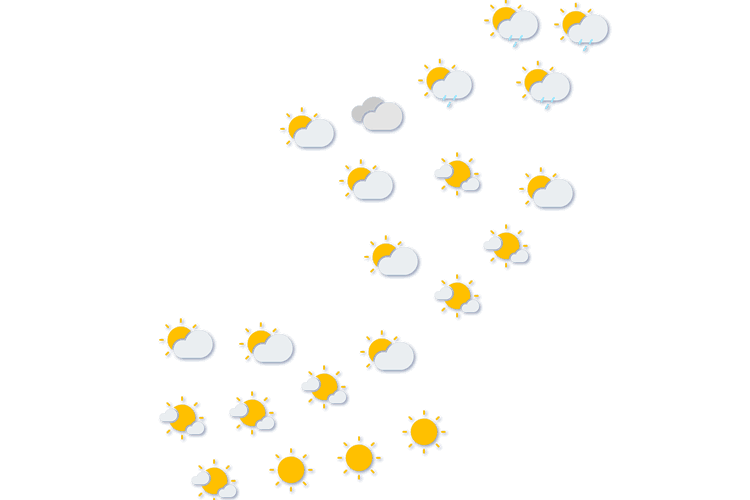 Forecast