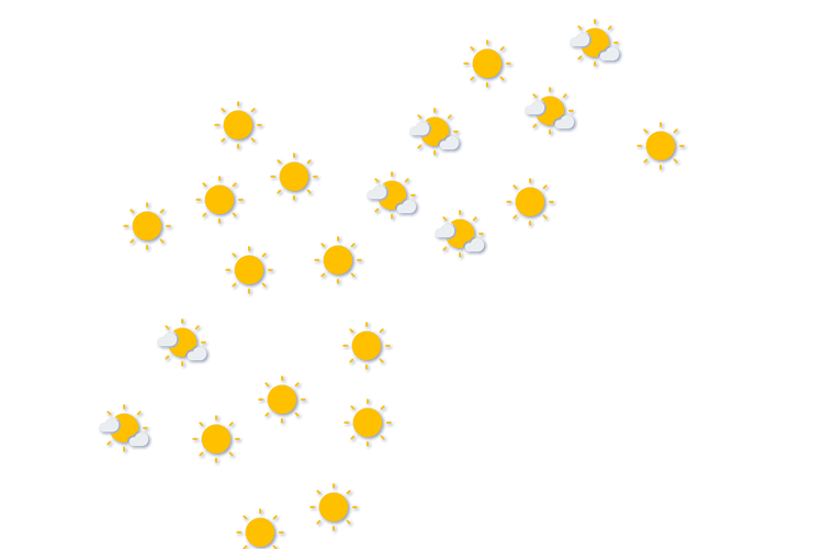 Forecast