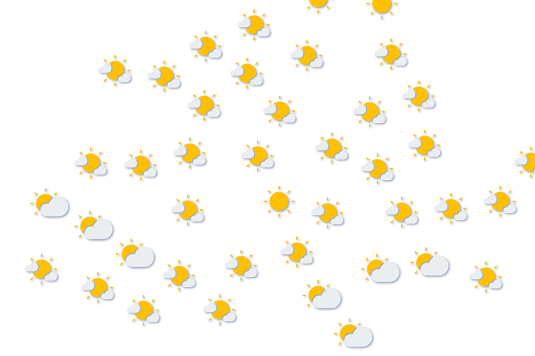 Forecast