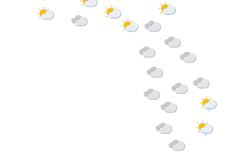Forecast