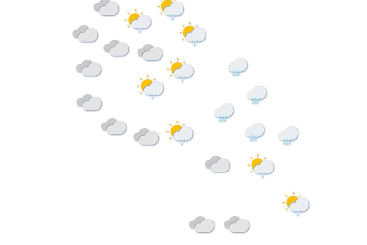 Forecast
