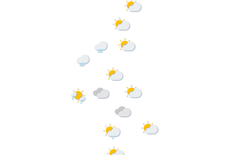 Forecast