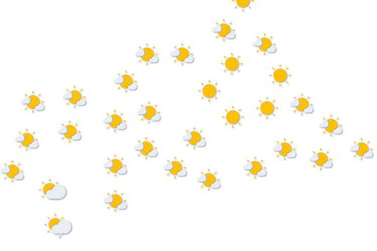 Forecast