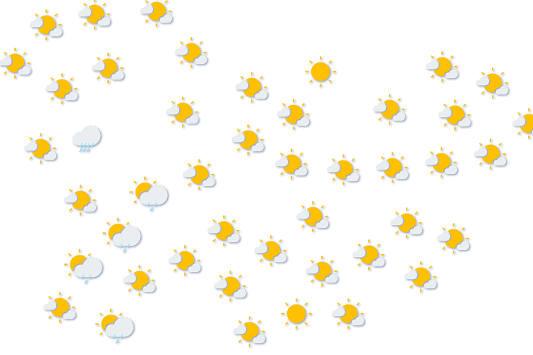 Forecast