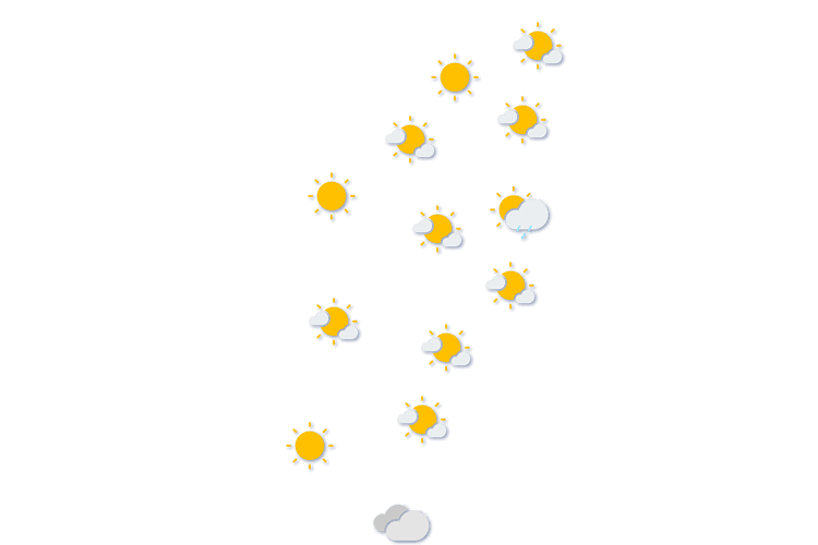 Forecast