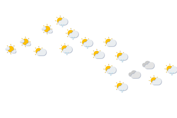 Forecast