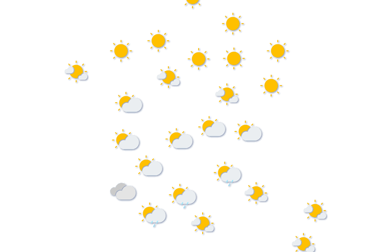 Forecast