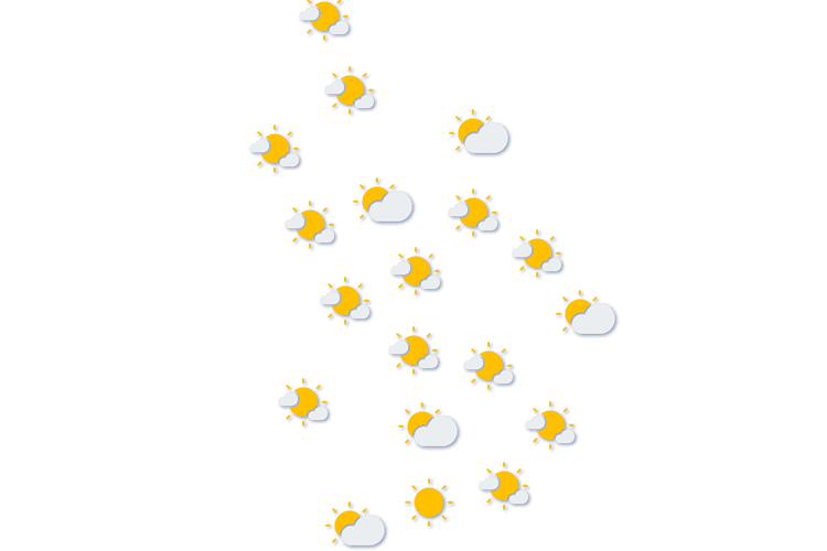 Forecast