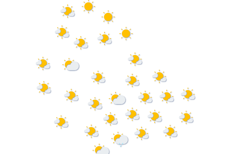 Forecast