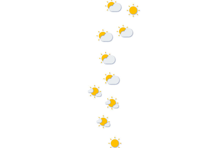 Forecast