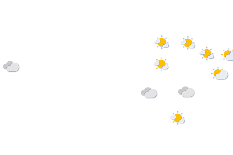 Forecast