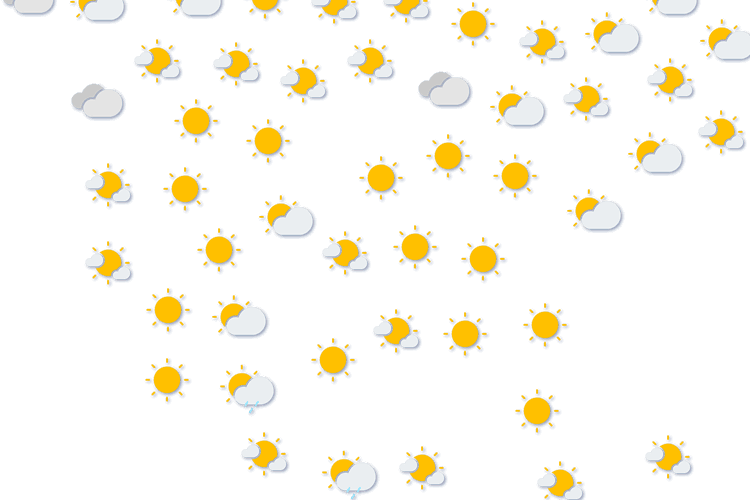 Forecast