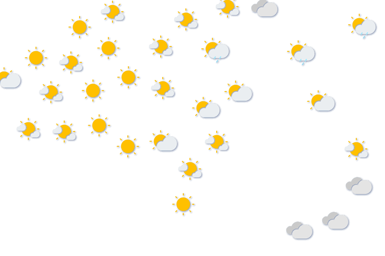 Forecast