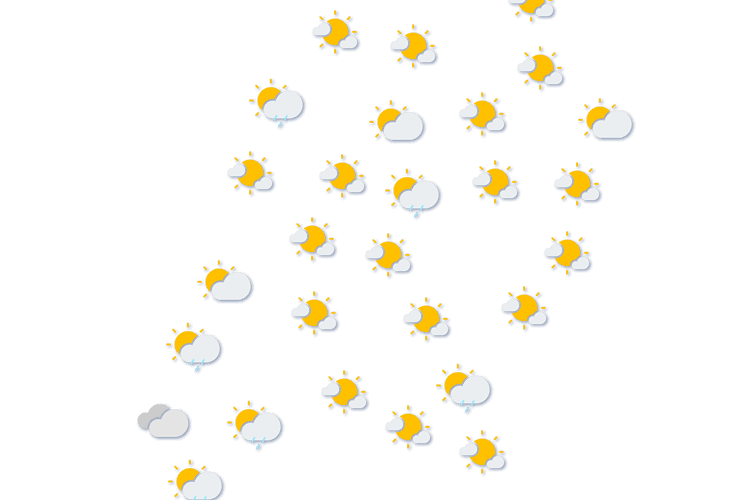Forecast