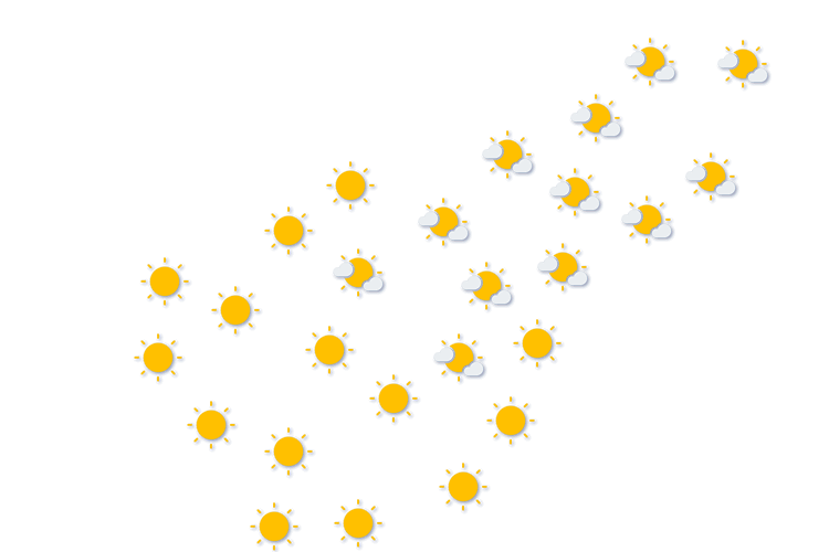 Forecast