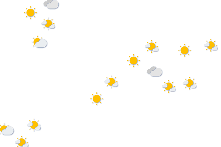 Forecast