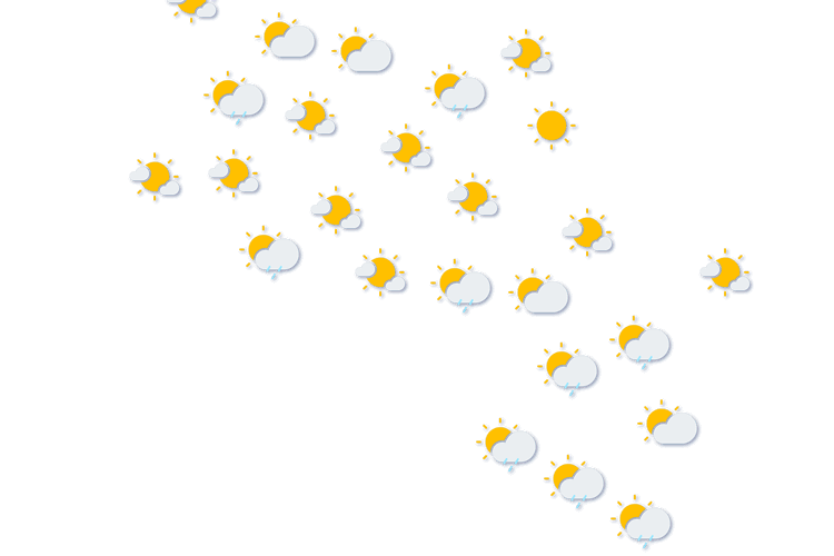 Forecast